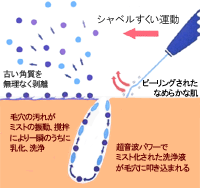 スキンスクライバーフォーイオン ARTISTIC&Co. イオン導出 - フェイス